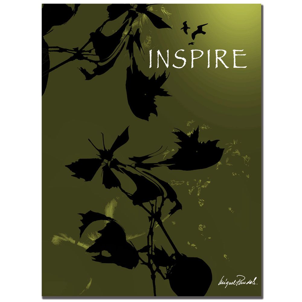 Trademark Global 18x24 inches "Inspire" by Miguel Paredes