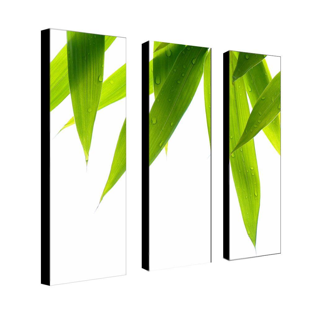 Trademark Global Philippe Sainte-Laudy 'Life is Green' Canvas Art Set