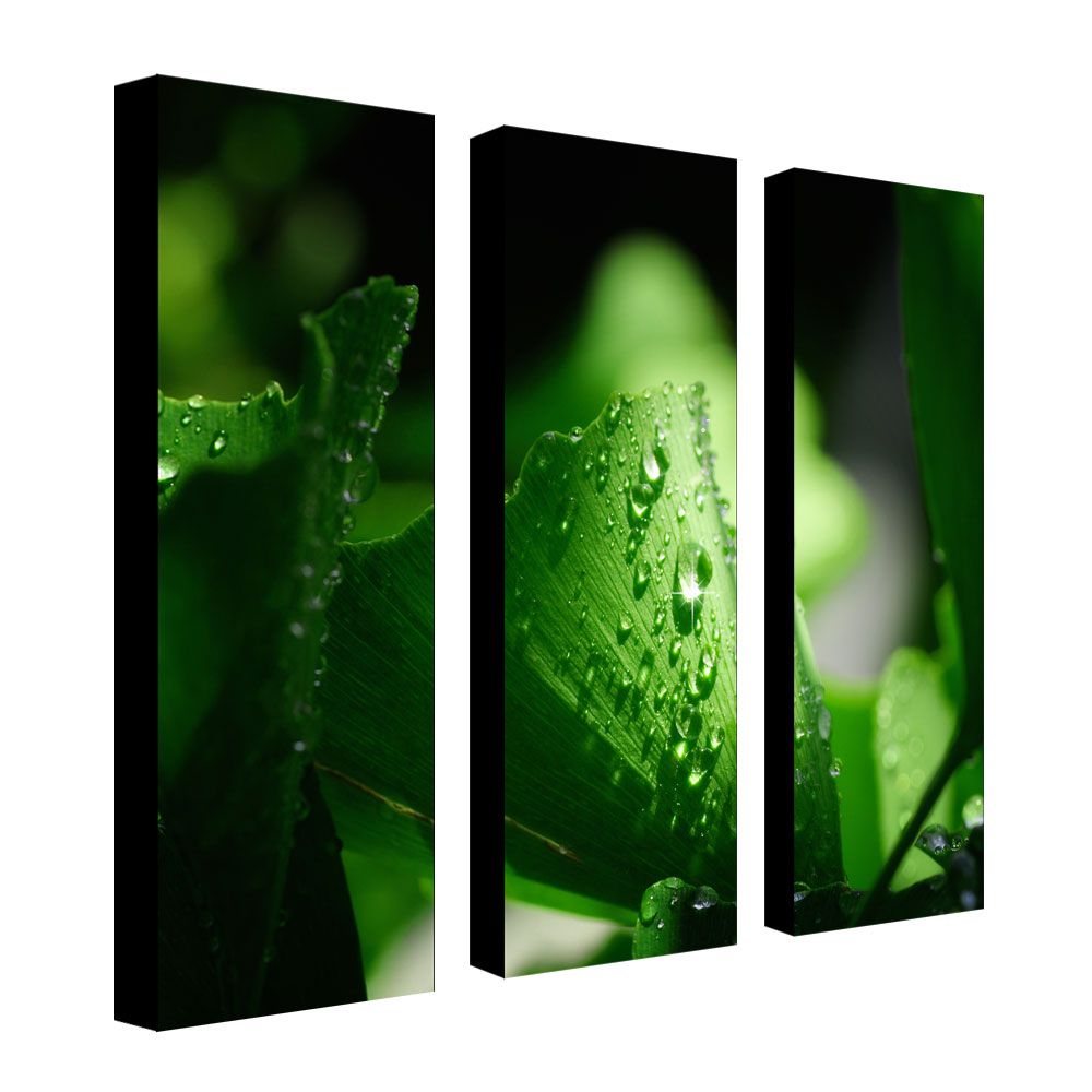 Trademark Global Philippe Sainte-Laudy 'Green Pearl' Canvas Art Set
