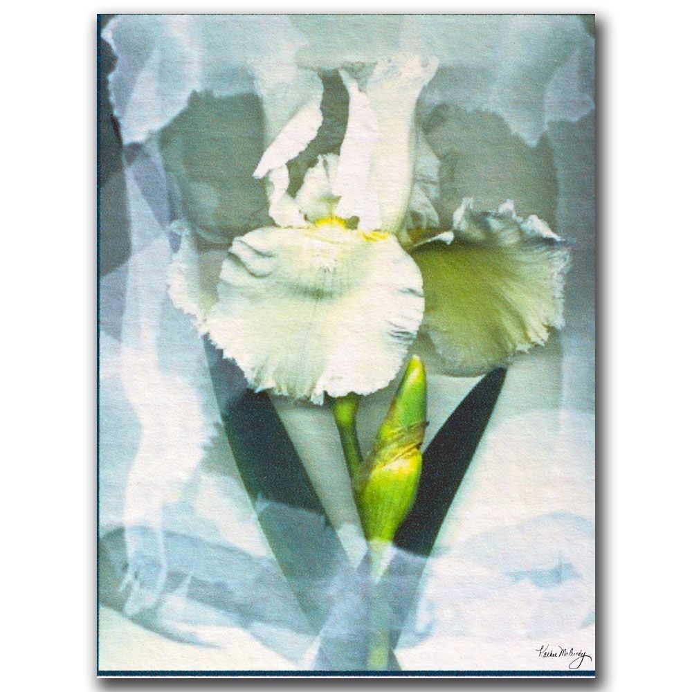 Trademark Global Kathie McCurdy 'Sheer White Iris' Canvas Art