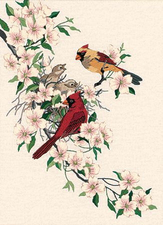 Dimensions 11 X 15   -Cardinals In Dogwood
