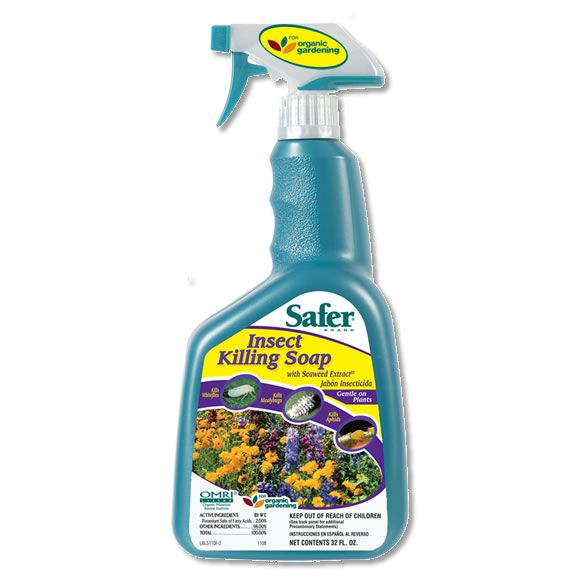 Safer Insect Killing Soap - 32oz. RTU