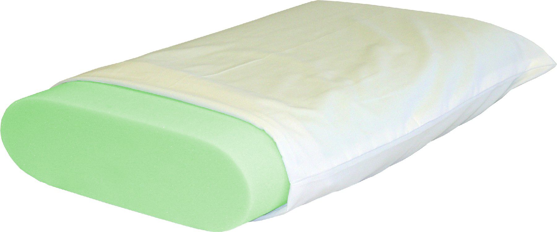 Science of Sleep Polar Foam Memory Foam Pillow