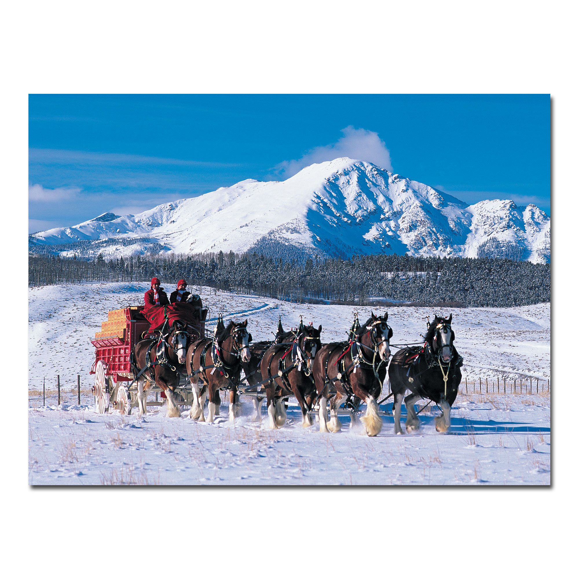 Trademark Global Clydesdales in Snow Covered Mountains