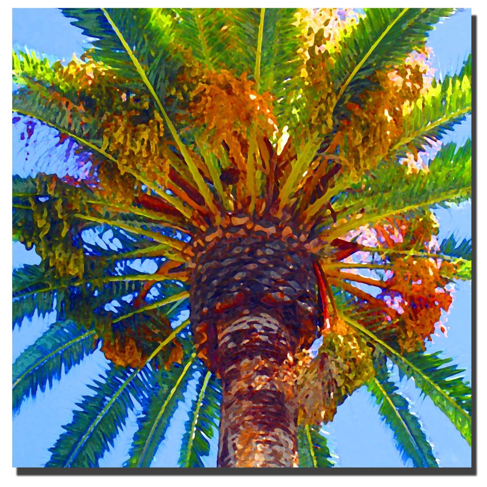 Trademark Global Amy Vangsgard 'Palm Tree Looking Up' Canvas Art