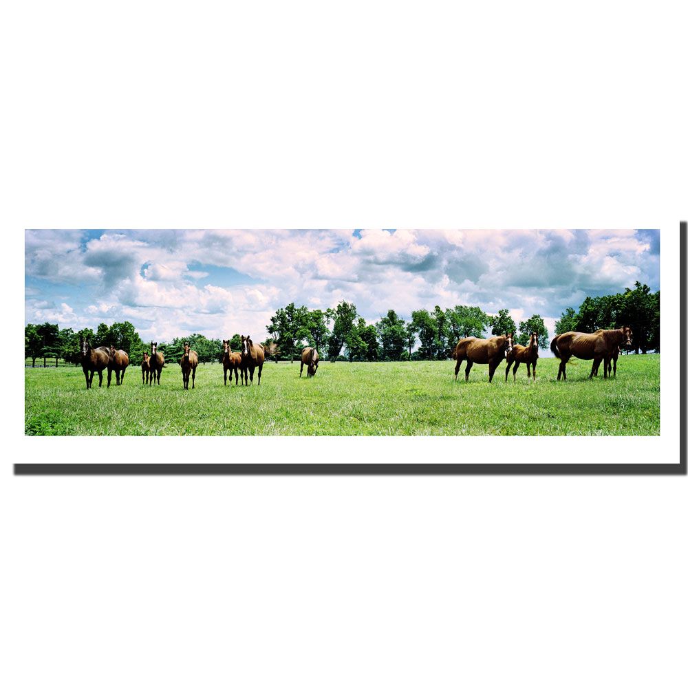 Trademark Global Preston 'Kentucky Horse Field' Canvas Art
