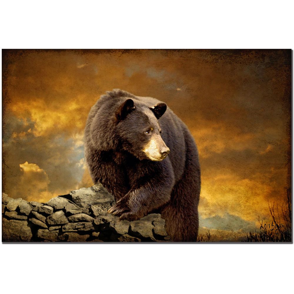 Trademark Global Lois Bryan 'The Bear Went Over the Mountain' Canvas Art