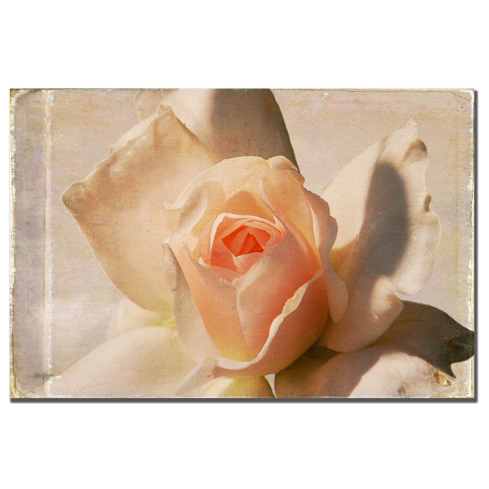 Trademark Global Lois Bryan 'Textured White Rose' Canvas Art