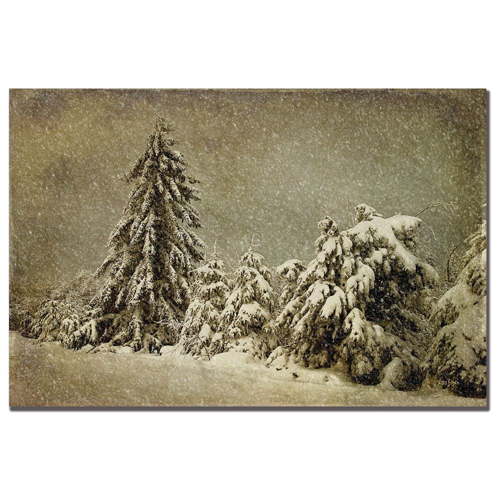 Trademark Global Lois Bryan 'Winter's Wrath with Snow' Canvas Art