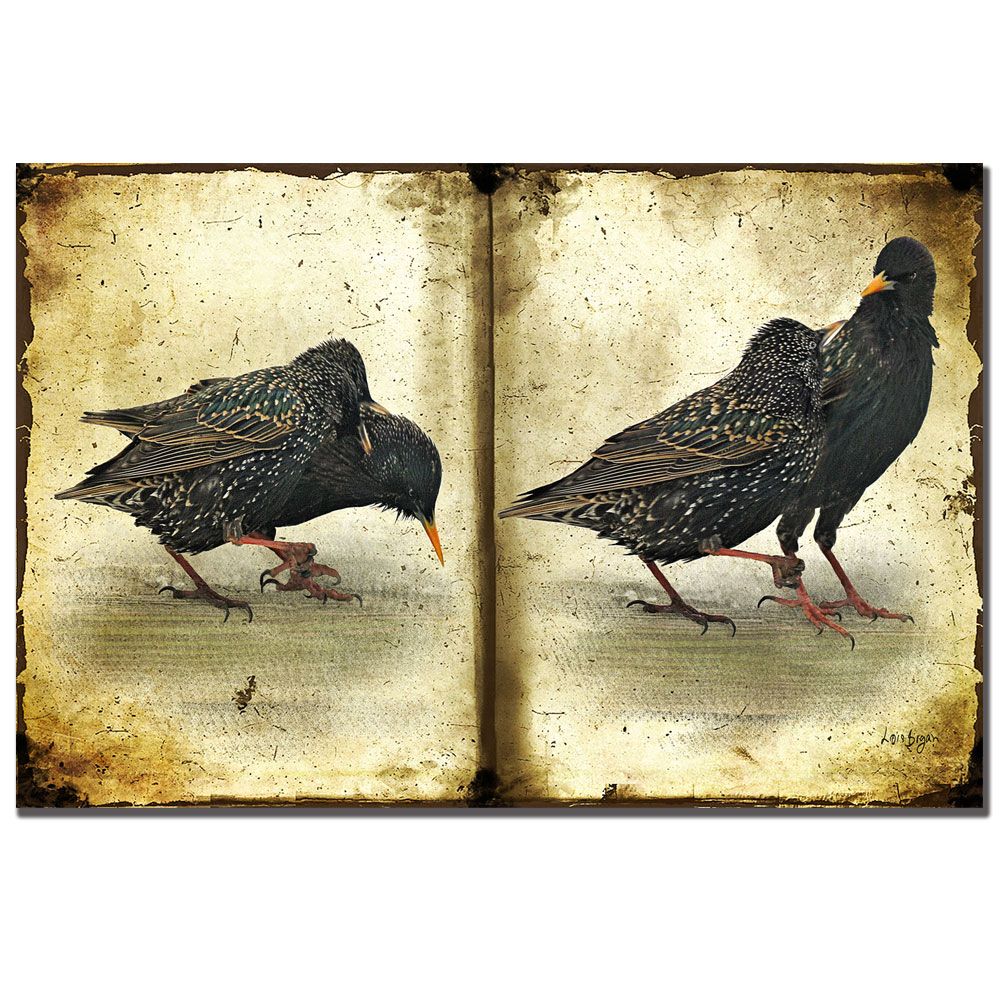 Trademark Global Lois Bryan 'Squabbling Starlings' Canvas Art