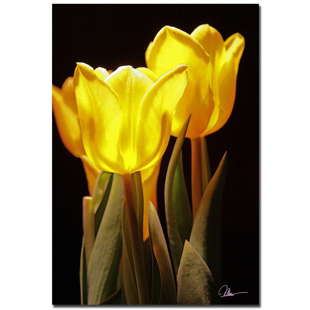 Trademark Global Martha Guerra 'Yellow Tulips III' Canvas Art