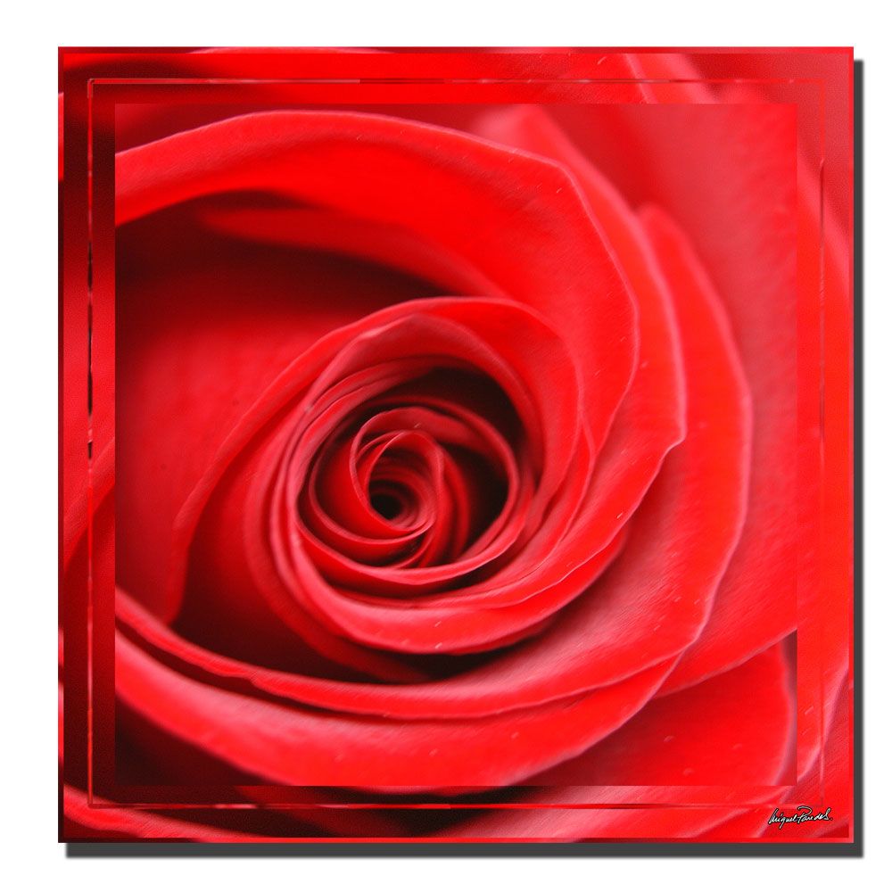 Trademark Global Miguel Paredes  'Cadmium Red II' 24" x 24" Canvas Art