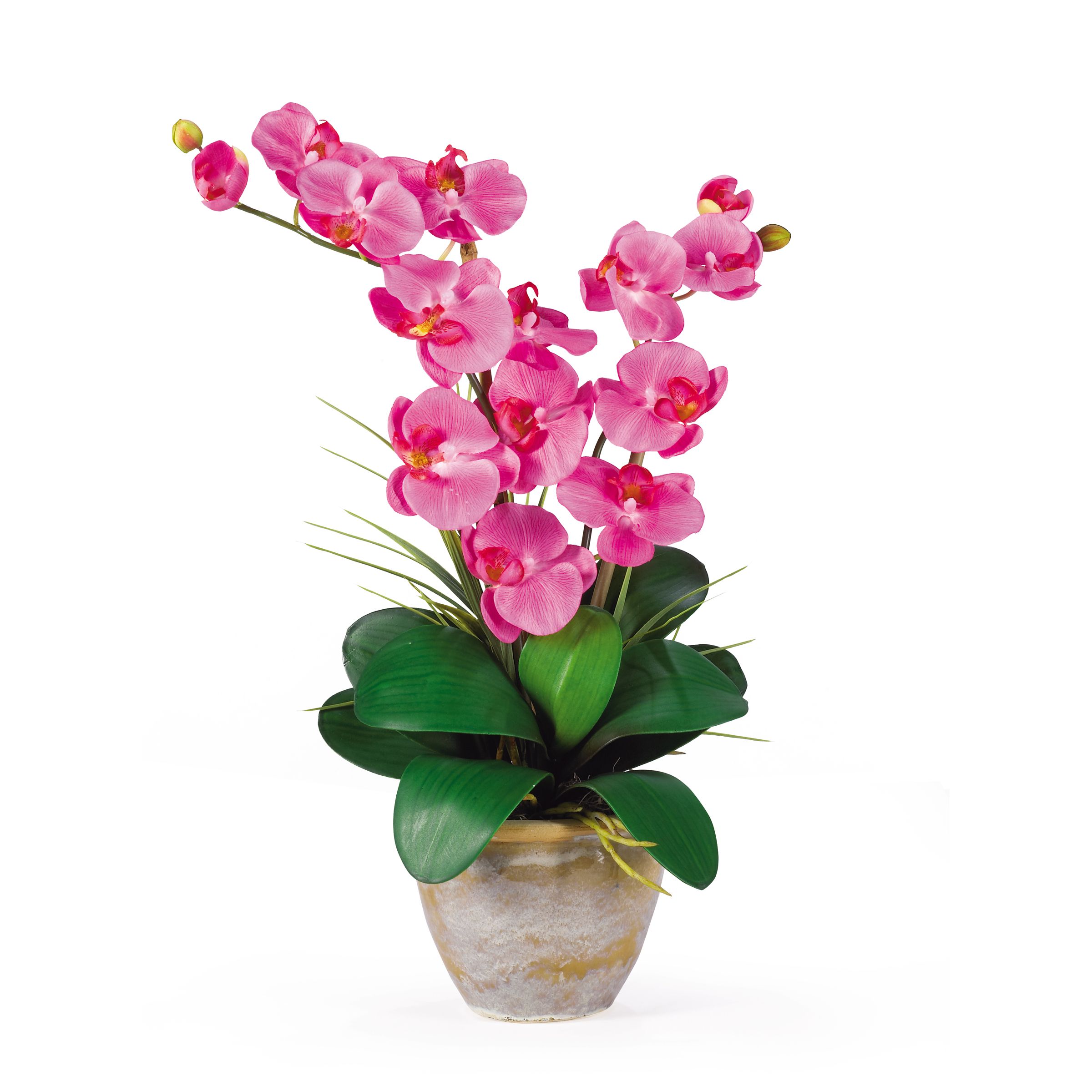 Nearly Natural Double Stem Phalaenopsis Silk Orchid Flower Arrangement