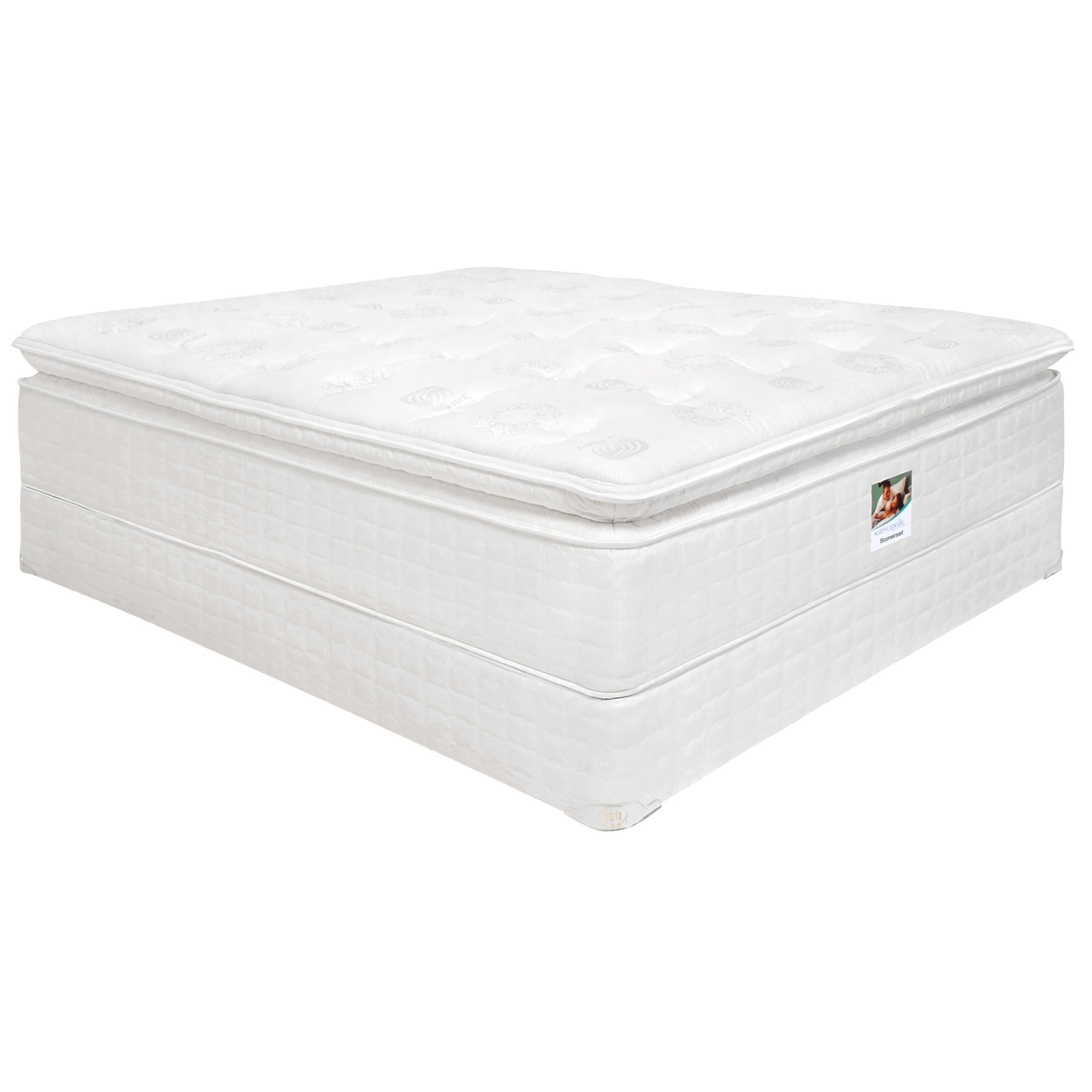 Searsopedic Low Profile Queen Foundation Zoombug