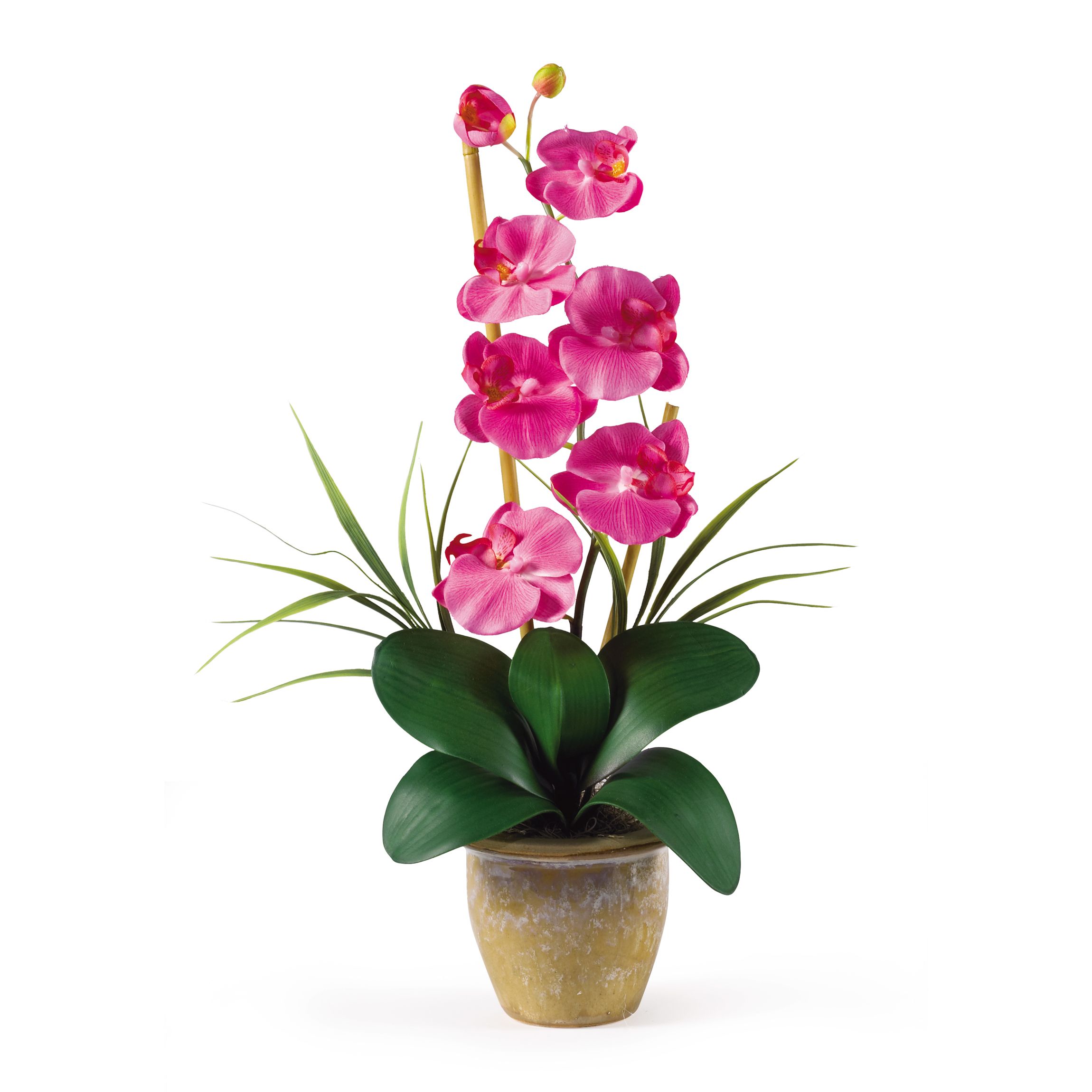 Nearly Natural Single Stem Phalaenopsis Silk Orchid Arrangement