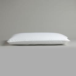 Sleep Innovations Classic Memory Foam Pillow, Queen