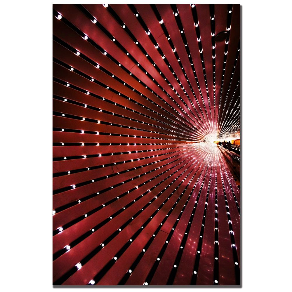 Trademark Global CATeyes 'Into the Light' Canvas Art