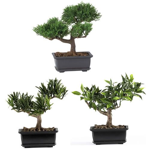 Nearly Natural 8.5" Bonsai Silk Plant Collection (Set of 3)