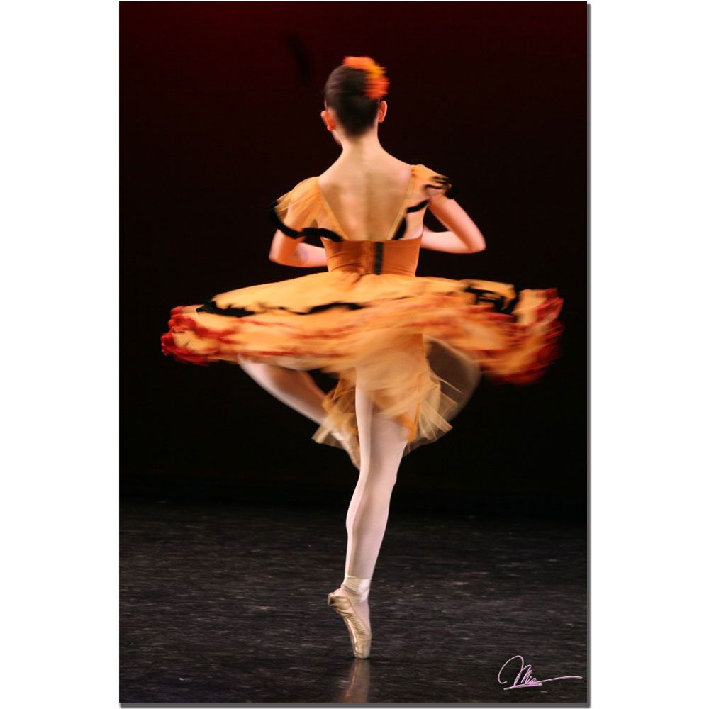 Trademark Global Martha Guerra 'Twirling Ballerina' 16" x 24" Canvas Art