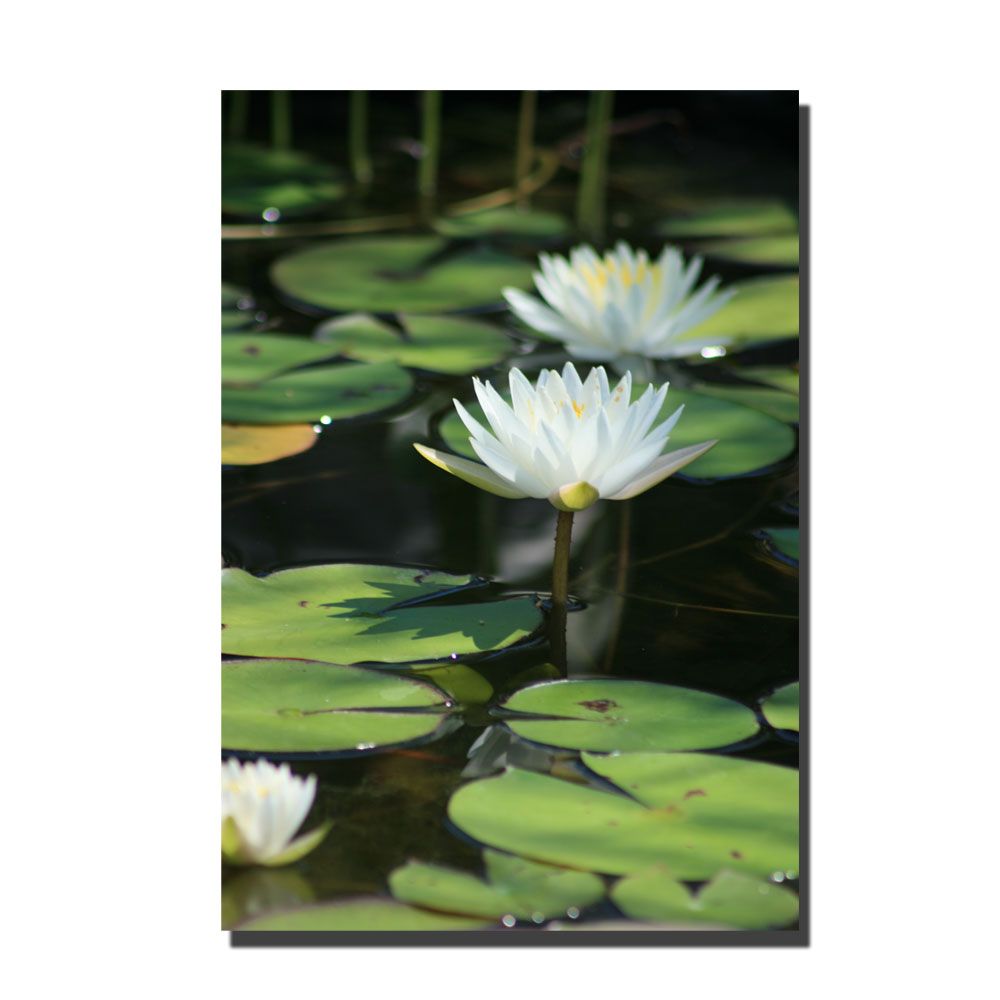 Trademark Global 22x32 inches "Lovely Lillies" by Patty Tuggle