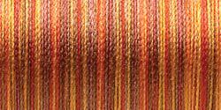 Sulky Blendables Thread 30 Weight 500 Yards-Golden Flame