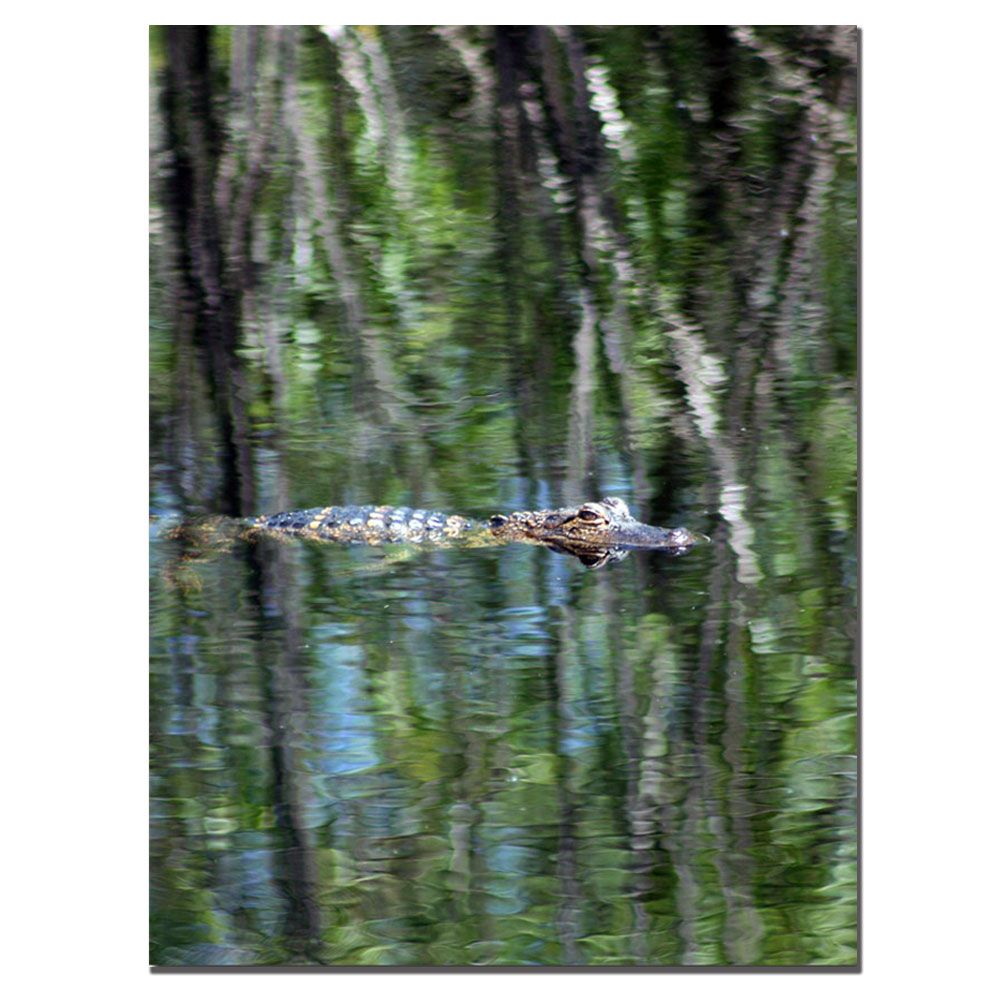 Trademark Global 14x18 inches "FL Gator Camouflage" by Patty Tuggle 14x18 inches