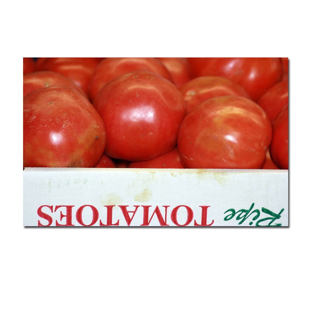 Trademark Global 18x32 inches "Tomatoes" by Patty Tuggle
