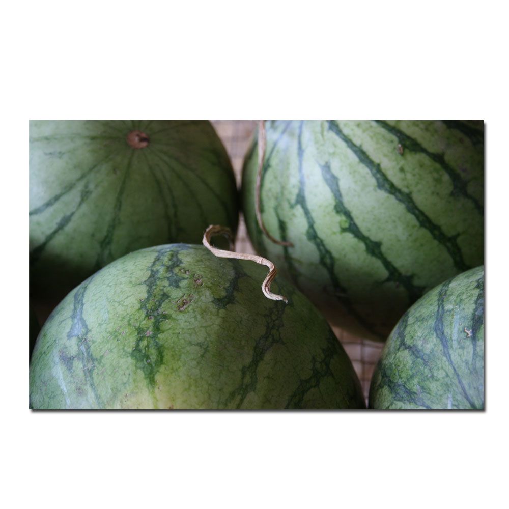 Trademark Global 18x32 inches "Summer Watermellons" by Patty Tuggle
