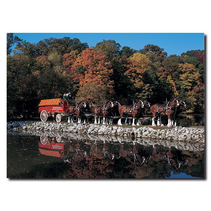 Trademark Global 14x19 inches Clydesdales in Fall by Stone Pond