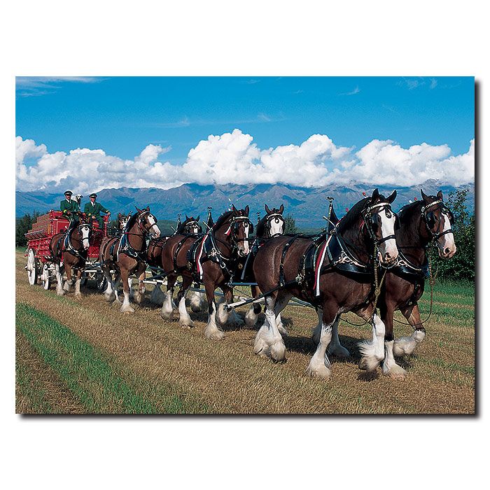 Trademark Global 14x19 inches Clydesdales in Blue Sky Mountains
