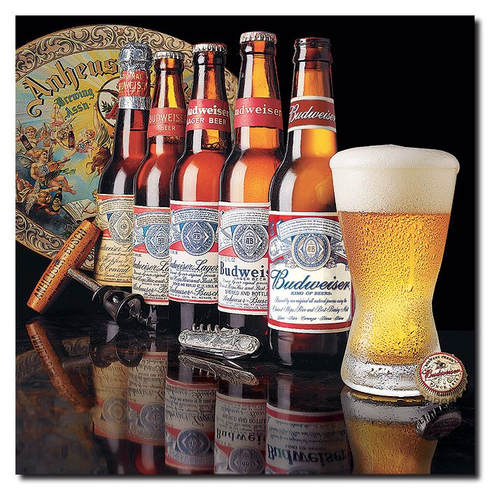 Trademark Global 24x24 inches Budweiser - 5 Generations of Bottles