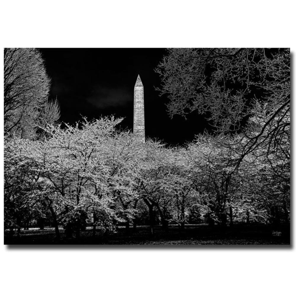 Trademark Global Lois Bryan 'The Washington Monument at Night' 30" x 47" Canvas Art