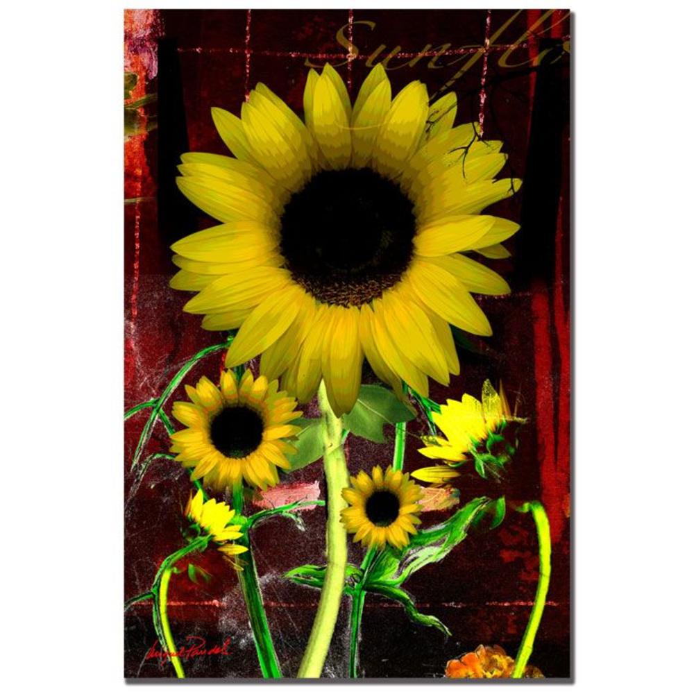 Trademark Fine Art Miguel Paredes Sunflower I 30 x 47 Canvas Art
