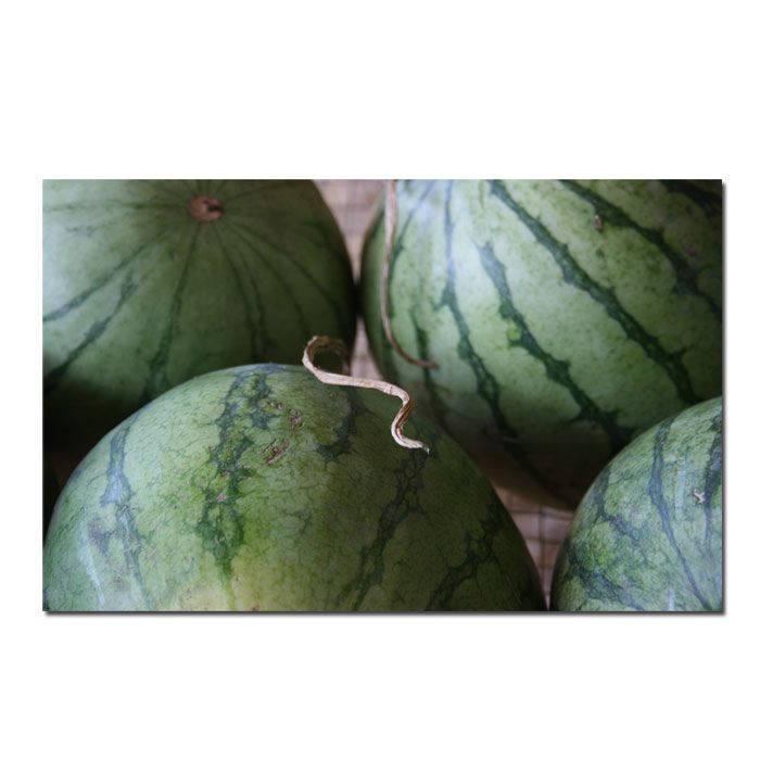 Trademark Global 16x24 inches Summer Watermelons  by Patty Tuggle