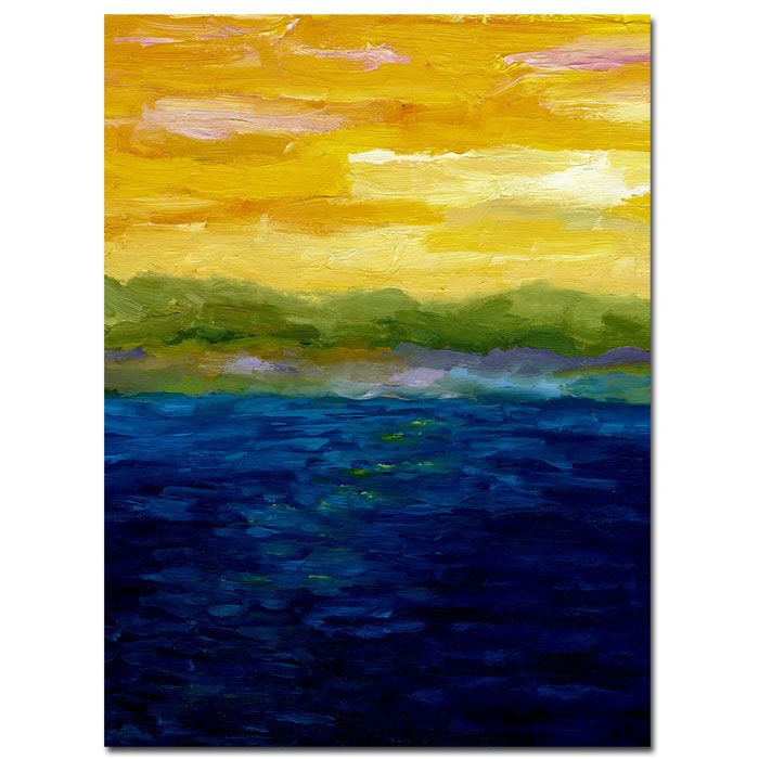 Trademark Global Michelle Calkins 'Gold and Pink Sunset' 35" x 47" Canvas Art