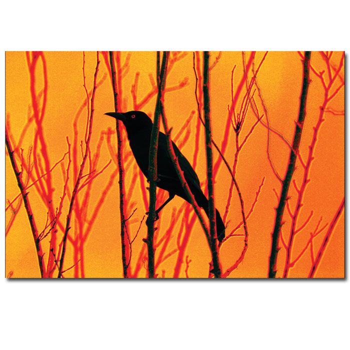 Trademark Global 22x32 inches "Blackbird Dreams" by Patty Tuggle
