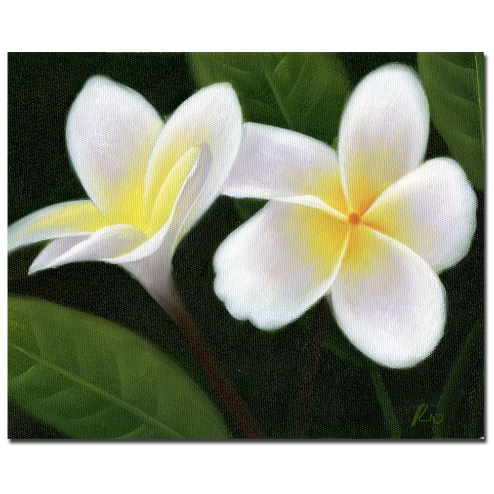 Trademark Global 35x47 inches "Hawaiian Lei Flowers"