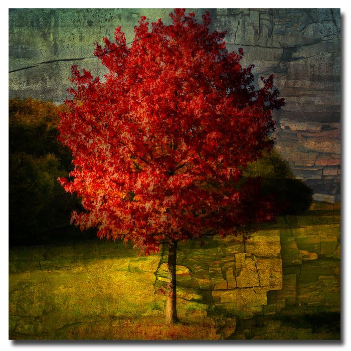 Trademark Global Philippe Sainte-Laudy 'Autumn Red' Canvas Art