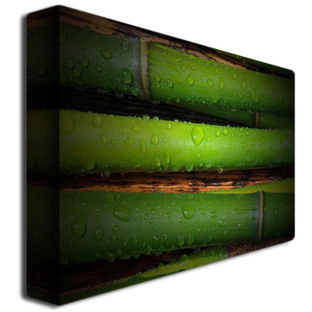 Trademark Global Philippe Sainte-Laudy 'Bamboo Drops' Canvas Art