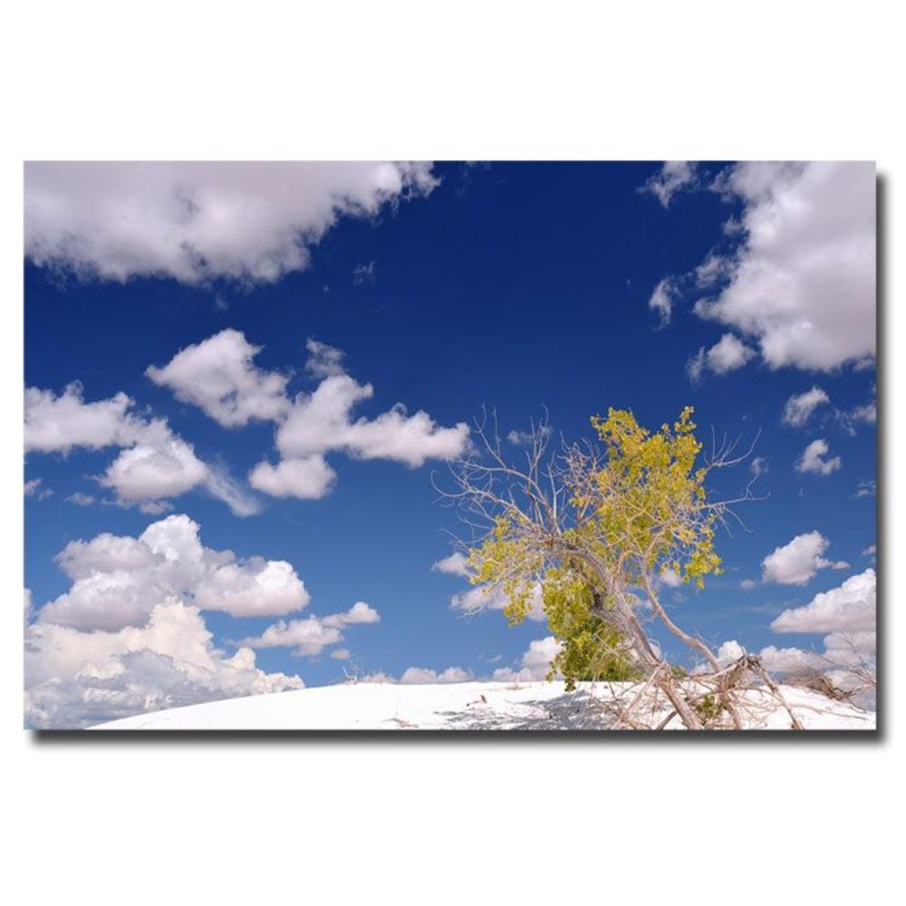 Trademark Global Philippe Sainte-Laudy 'Clouds and Loneliness' Canvas Art