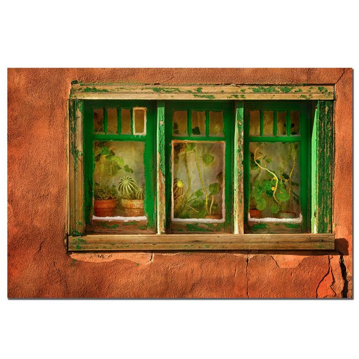 Trademark Global 24x32 inches "Cactus Window" by AIANA