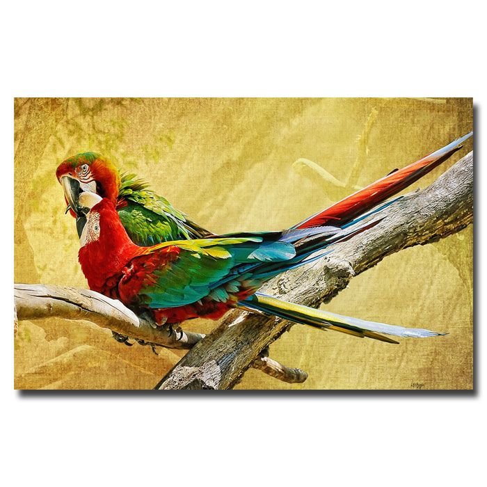 Trademark Global Lois Bryan 'Kissing Macaws' Canvas Art
