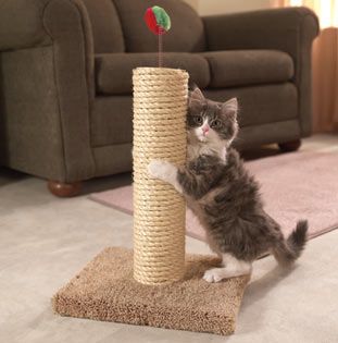 cat scratching pole kmart