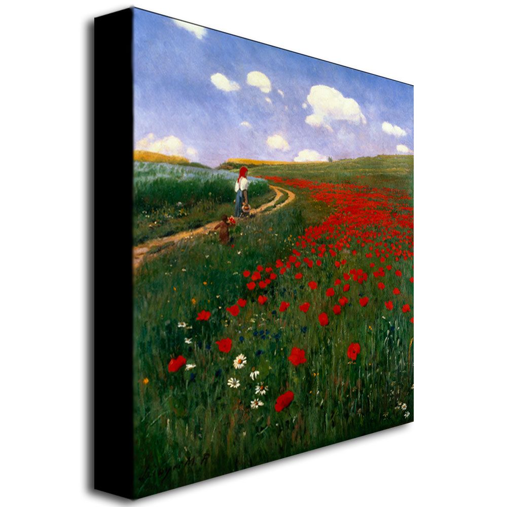Trademark Global 24x24 inches Pal Szinyei Merse 'The Poppy Field' Canvas Art