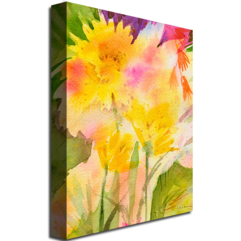 Trademark Global Sheila Golden 'Springtime Floral' Canvas Art