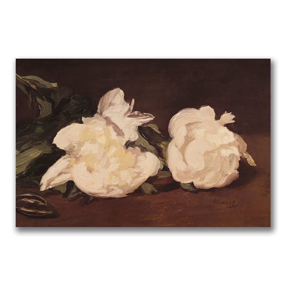 Trademark Global 22x32 inches Eduard Manet "Branch of White Peonies"