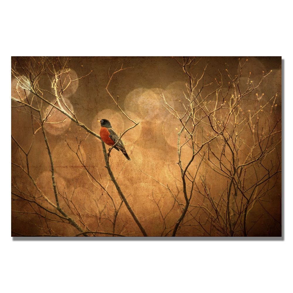 Trademark Global Lois Bryan 'The Robin' Canvas Art