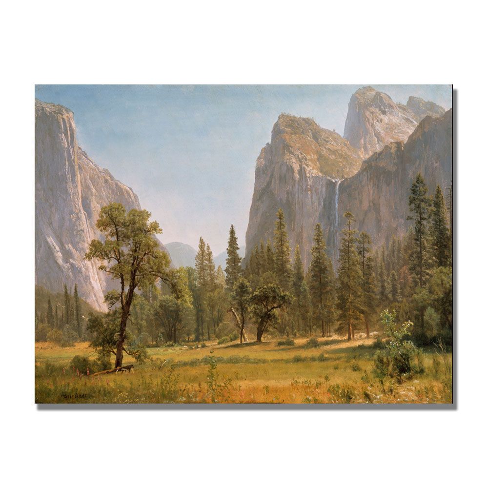 Trademark Global 18x24 inches Albert Bierstandt "Bridal Veil Falls  Yosemite"