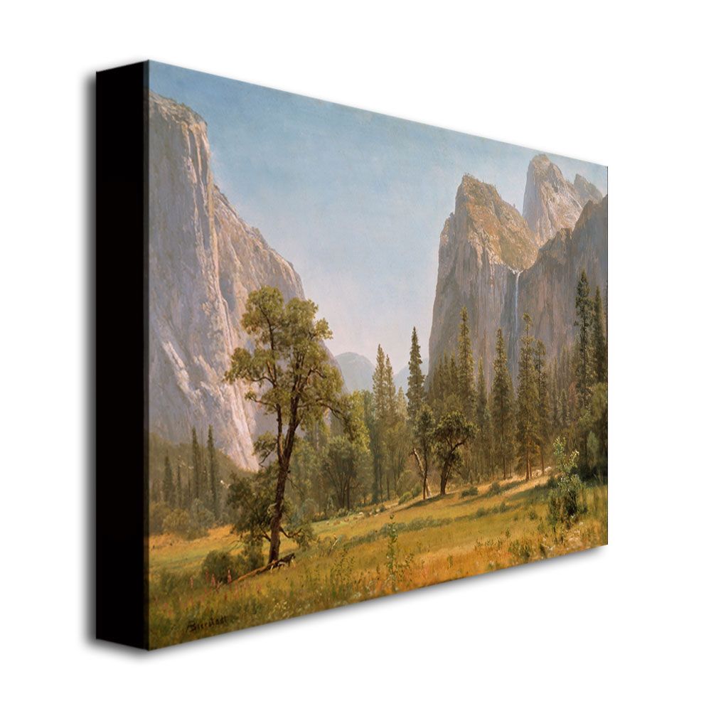 Trademark Global 35x47 inches Albert Bierstandt "Bridal Veil Falls  Yosemite"