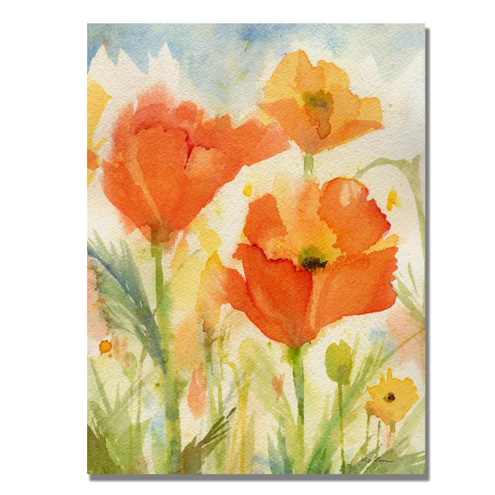Trademark Global Sheila Golden 'Field of Poppies' Canvas Art
